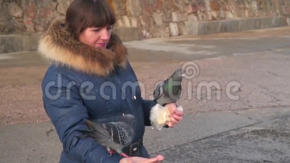 女人手里的鸽子视频的预览图
