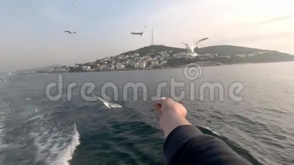 一个游客骑在船上把面包屑扔到空中喂海鸥视频的预览图