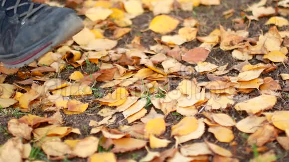 一个穿靴子的人正沿着公园里的秋叶散步视频的预览图