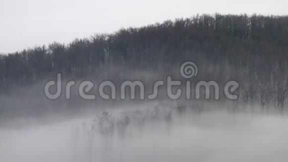 云倒了雾在山上的树间飘浮视频的预览图
