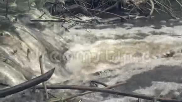 树枝的河坝视频的预览图