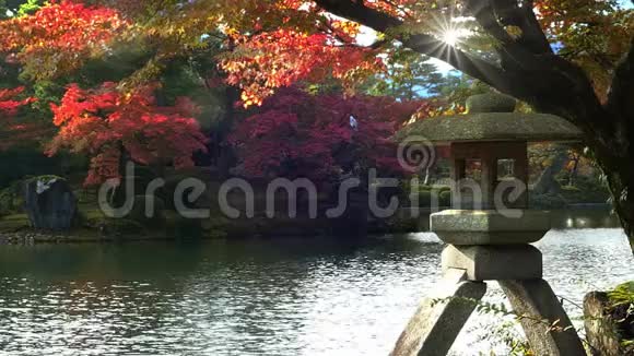 金泽石川日本秋季在Kenrokuen花园视频的预览图