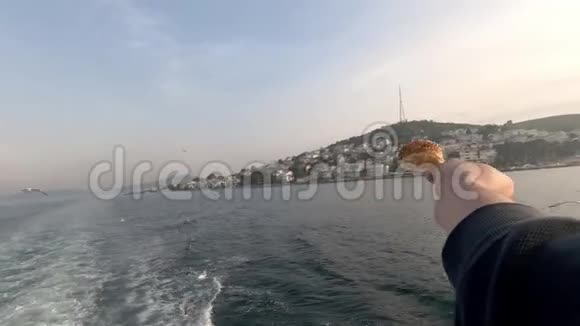 游客在伊斯坦布尔海岸划船吃海鸥手中的面包视频的预览图
