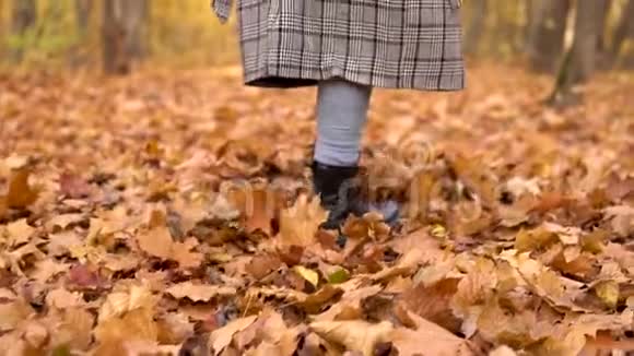 在秋天的森林里一个女人沿着黄色的落叶走着双腿合拢慢动作视频的预览图