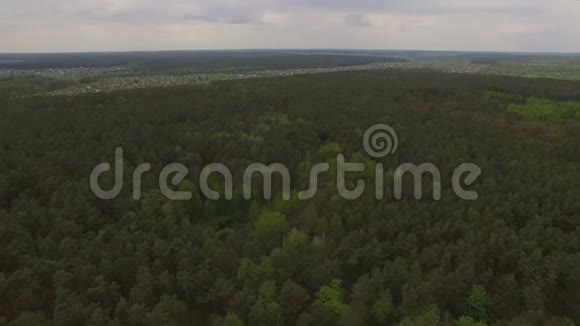 小湖周围有针叶林的空中景色视频的预览图