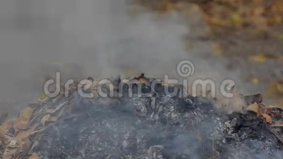 燃烧枯叶引起的烟雾视频的预览图