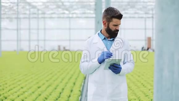 农业工程师分析温室中的植物温室里的农学家穿着白大褂工作ot片视频的预览图