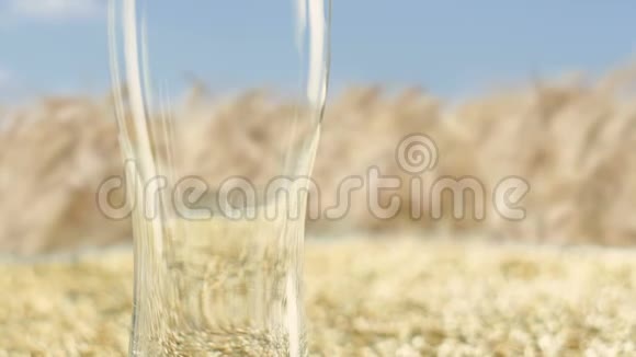 一个杯子里装满了大麦麦芽和小麦这是一种有机和天然产品的概念用于制造工艺啤酒Ale视频的预览图