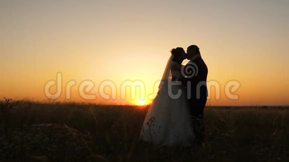 恋爱中的情侣在接吻新婚夫妇互相拥抱站在田野里映衬着美丽的夕阳视频的预览图