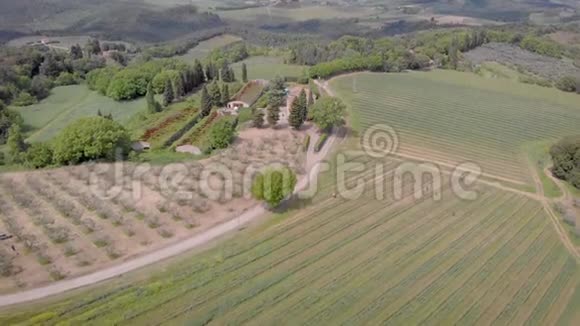 4夏季在意大利托斯卡纳拍摄葡萄园田地和树木视频的预览图