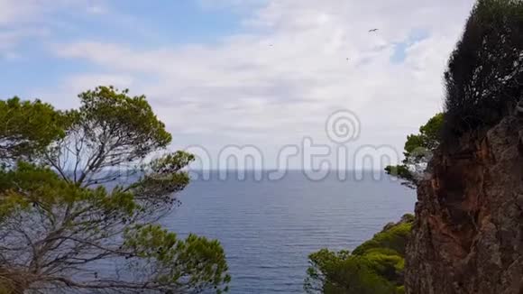 山海林的风景视频的预览图