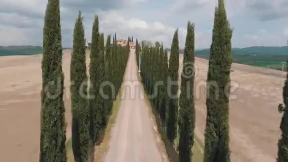 针叶树之间的道路景观路的尽头是一座房子无人机上升意大利托斯卡纳视频的预览图