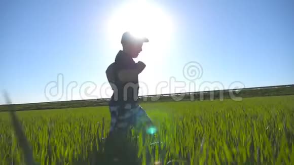 夏天戴帽子的无忧无虑的孩子在草地上慢跑玩得开心快乐的男孩带着绿色跑过田野视频的预览图