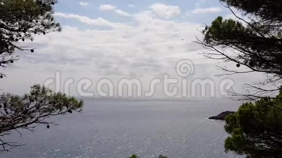山海林的风景视频的预览图