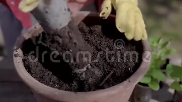一个戴着黄色橡胶手套的女人在大花盆里挖土的特写镜头视频的预览图