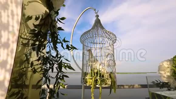 婚礼鸽子坐在笼子里白鸽坐在笼子里背景是河流和蓝天装饰设计与视频的预览图