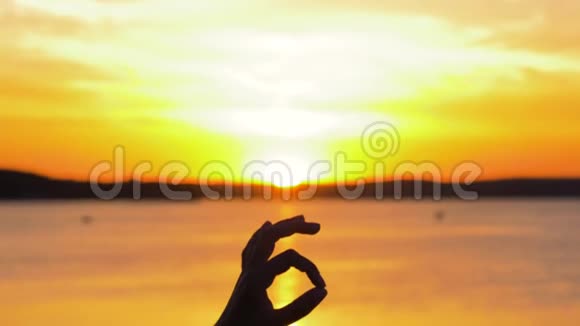 手轴剪影特写日落时太阳升起时的好姿势视频的预览图
