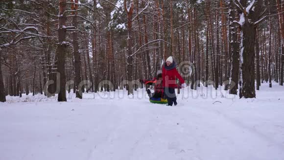 孩子们在松树公园的雪道上雪橇爸爸笑了幸福的一家人在冬天的针叶林里玩耍圣诞节视频的预览图