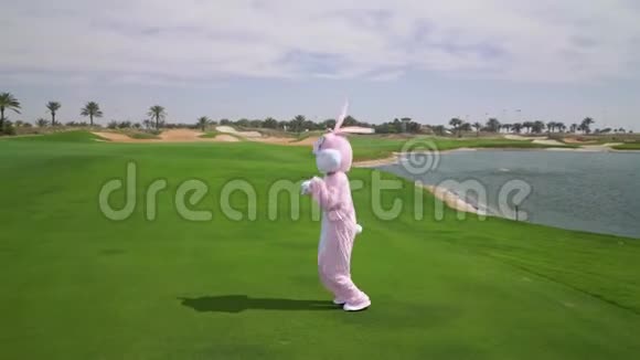 生命大小的兔子疯狂玩得开心庆祝复活节快乐复活节兔子猎蛋视频的预览图