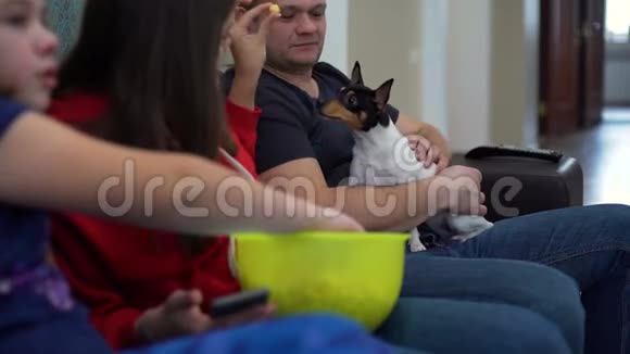 家庭看电视喂狗吃爆米花视频的预览图