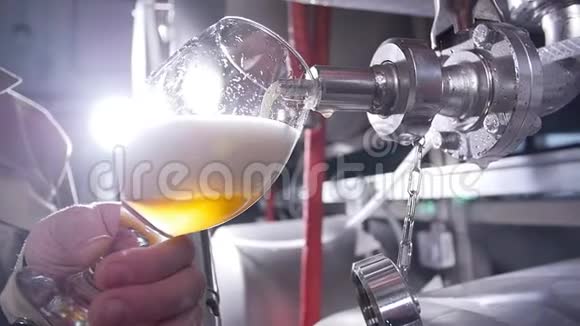 小企业和制造理念啤酒厂工艺啤酒酿造设备琥珀啤酒倒进玻璃杯视频的预览图