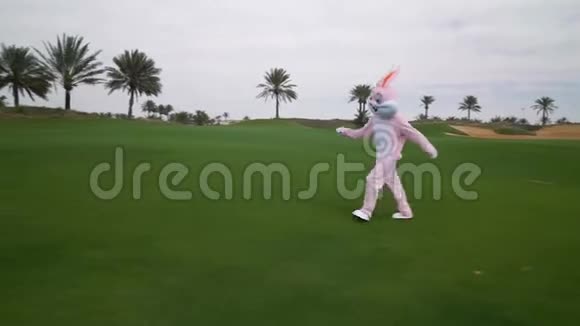 有趣的疯狂复活节兔子生活大小的服装或兔子在草地或花园上玩快乐野兔庆祝视频的预览图