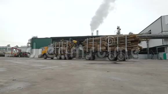机器卡车或拖车将木材原木木材木材送到木工厂或工厂仓库木材供应视频的预览图