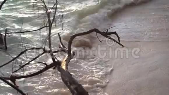 塞舌尔普拉斯林岛美丽的沙滩海洋和滚滚的波浪慢动作视频的预览图