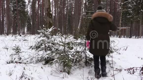 儿童近雪覆盖云杉视频的预览图