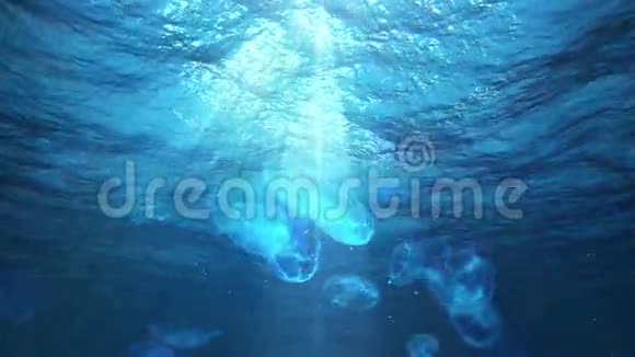 水下太阳在海洋和水母环视频的预览图