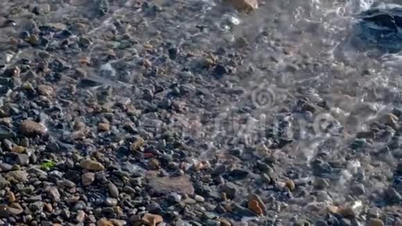 缓慢运动的海浪白色泡沫冲洗海滩上的鹅视频的预览图