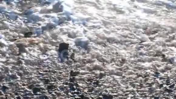 缓慢运动的海浪白色泡沫冲洗海滩上的鹅视频的预览图