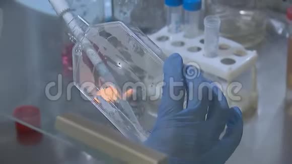 实验室实验医学实验室化学试剂的工作视频的预览图