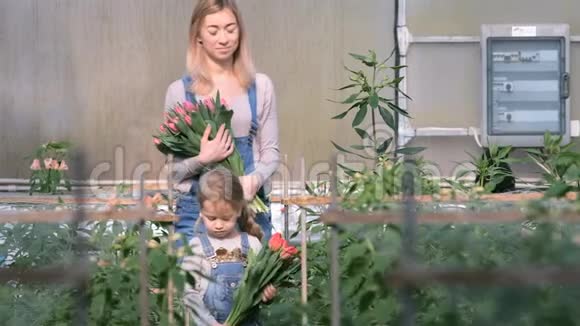 一位年轻的女园丁在温室里保存着花的记录视频的预览图