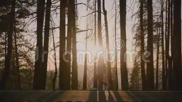 日落时分在美丽的森林道路上漫步的旅游女孩令人惊叹的侧景背光拍摄视频的预览图