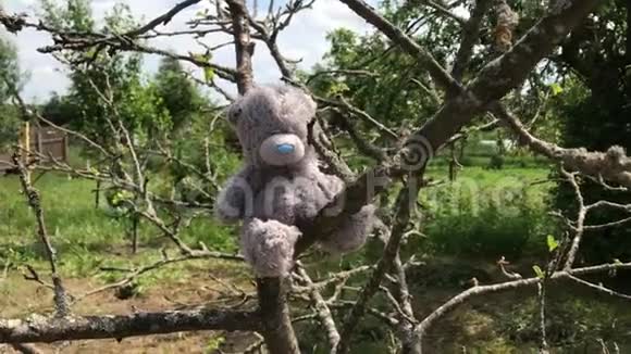 孤独的泰迪熊坐在枯树枝上视频的预览图