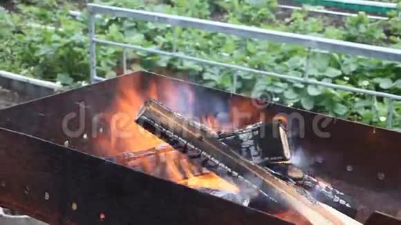 在花园里的一只巨猿中燃烧着木头和木炭视频的预览图