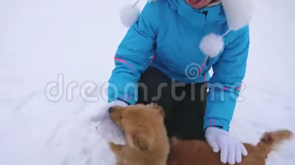 主人在冬天散步时爱抚狗狗妈妈和小狗正和快乐的女孩在霜冻的日子在白雪上散步妇女视频的预览图