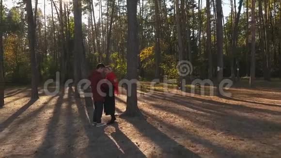 从上面看到一对夫妇拥抱在一片松林中的日落光一对可爱的跨种族夫妇有约会和拥抱视频的预览图