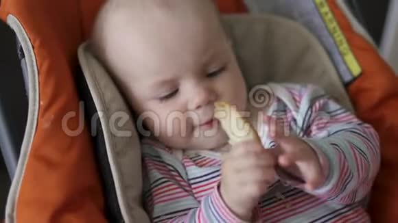 一岁的女孩吃一块面包视频的预览图