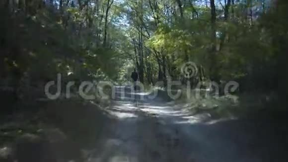 在森林中行走的人快速移动视频的预览图