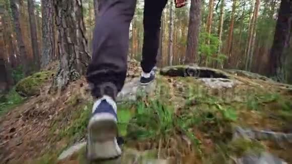 低角度视角的男性游客的腿在森林中行走在草地上在树上踩着岩石和松果旅行视频的预览图
