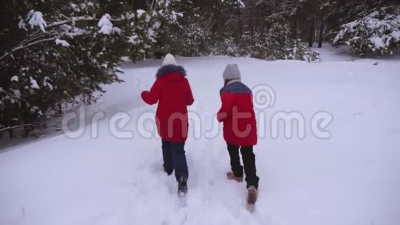 十几岁的女孩在松冬雪地公园里穿过雪堆孩子们在冬天玩追赶圣诞节假期视频的预览图