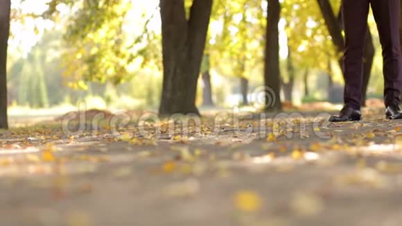 在公园秋叶上行走的棕色皮鞋商人的特写视频的预览图
