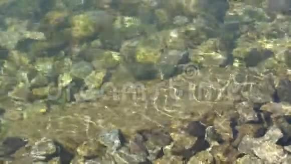 阳光在水下在河底的石头上慢速全高清视频的预览图