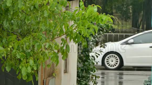 雨中汽车在溪流中行驶视频的预览图