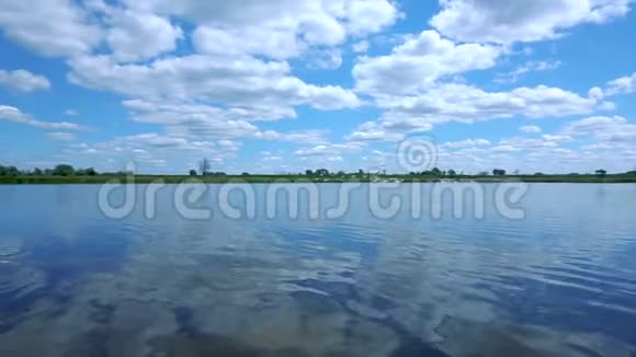 野生白天鹅从蓝色湖泊起飞视频的预览图