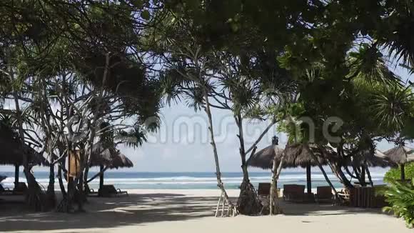 海滩景观海洋通过棕榈叶视频的预览图