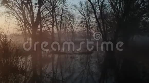 滑过一个雾蒙蒙的湖早但温暖的春天视频的预览图