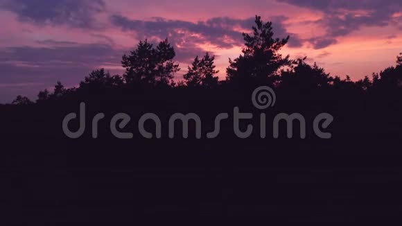 在玫瑰色和橙色夕阳下乌克兰一片黑暗的混合森林的空中拍摄视频的预览图